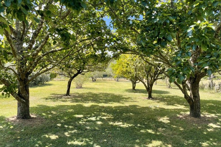 Photo of property in 561 Whangaripo Valley Road, Whangaripo, Wellsford, 0972