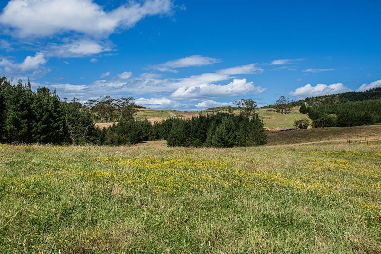 Photo of property in 436 Glenmohr Road, Waipu, 0582
