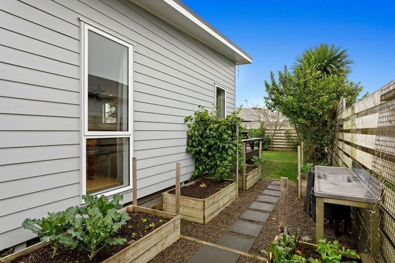 Photo of property in 64b Pohutu Street, Whakatane, 3120
