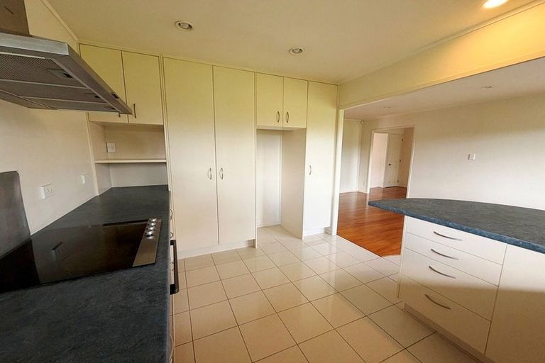 Photo of property in 77 Coronation Road, Hillcrest, Auckland, 0627