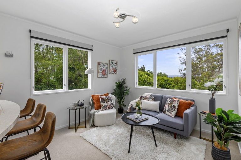 Photo of property in 6 Heaton Terrace, Brooklyn, Wellington, 6021