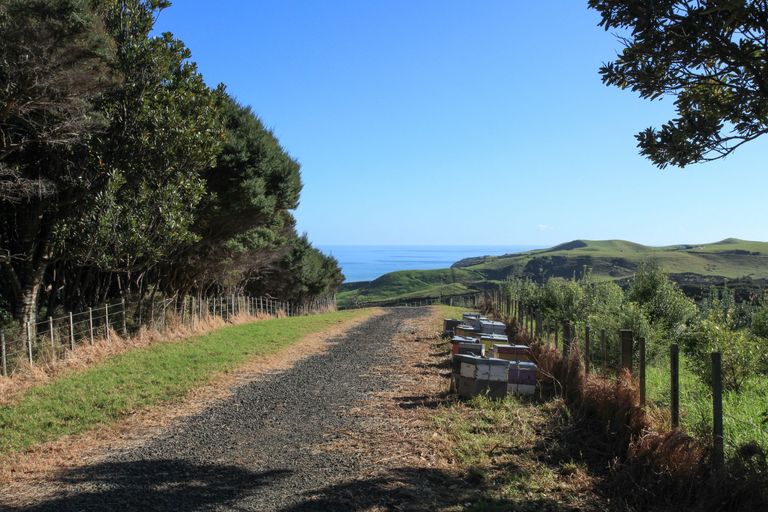 Photo of property in 1644a Whaanga Road, Raglan, 3296