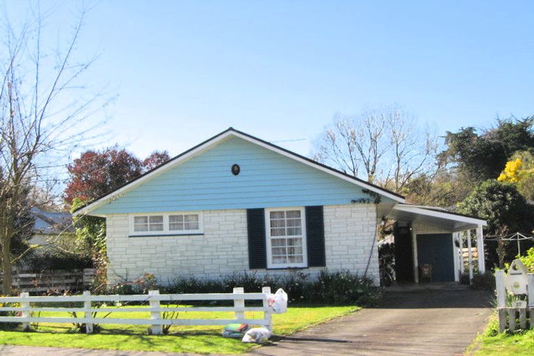 Photo of property in 17 Von Dadelszen Place, Havelock North, 4130