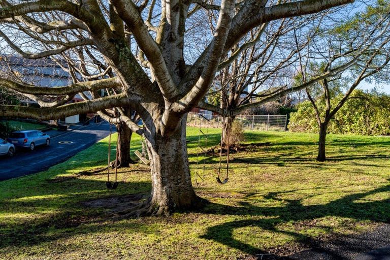 Photo of property in 3 Henry Street, Maori Hill, Dunedin, 9010