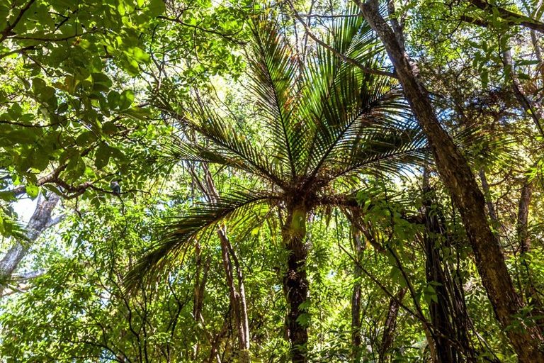 Photo of property in 102 Waihirere Drive, Tuateawa, Coromandel, 3583