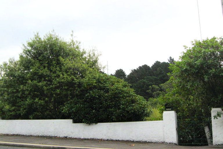 Photo of property in 520 South Road, Calton Hill, Dunedin, 9012