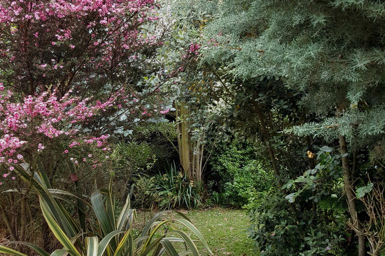 Photo of property in 48 Birkett Street, Temuka, 7920