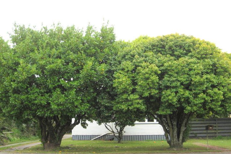 Photo of property in 55 Richard Street, Opotiki, 3122
