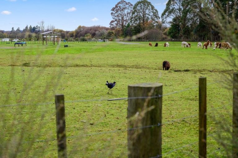 Photo of property in 36 Barnard Road, Fairy Springs, Rotorua, 3015