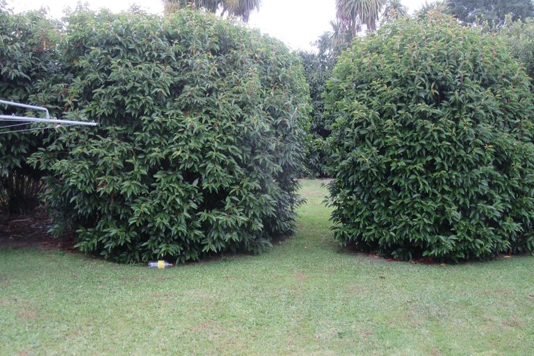 Photo of property in 19b Belt Street, Waimate, 7924