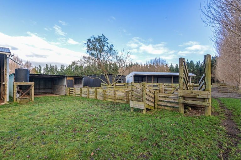 Photo of property in 334 Mount Biggs Road, Halcombe, Feilding, 4779