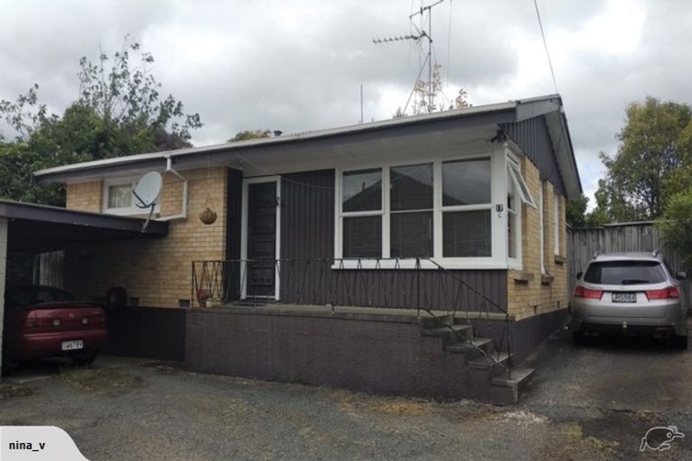 Photo of property in 17c Palmerston Street, Hamilton Central, Hamilton, 3204