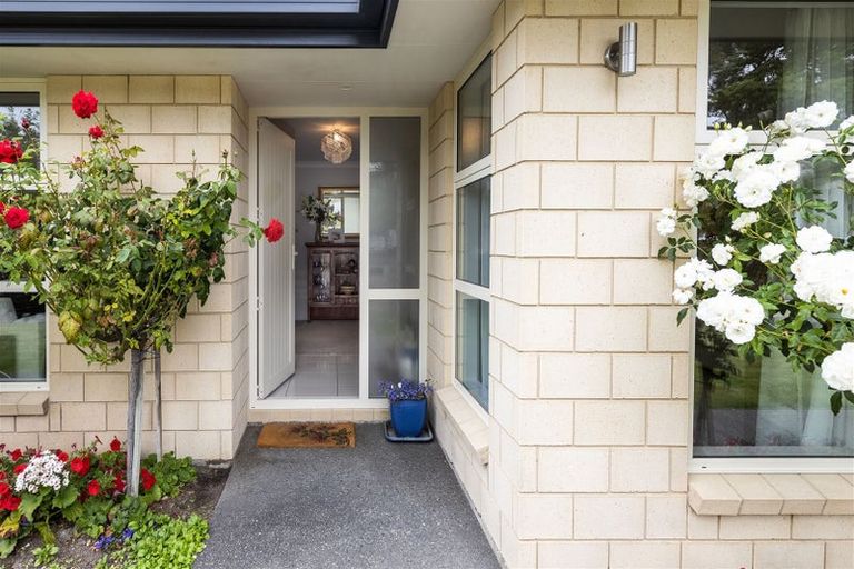 Photo of property in 217 Taylor Pass Road, Witherlea, Blenheim, 7201