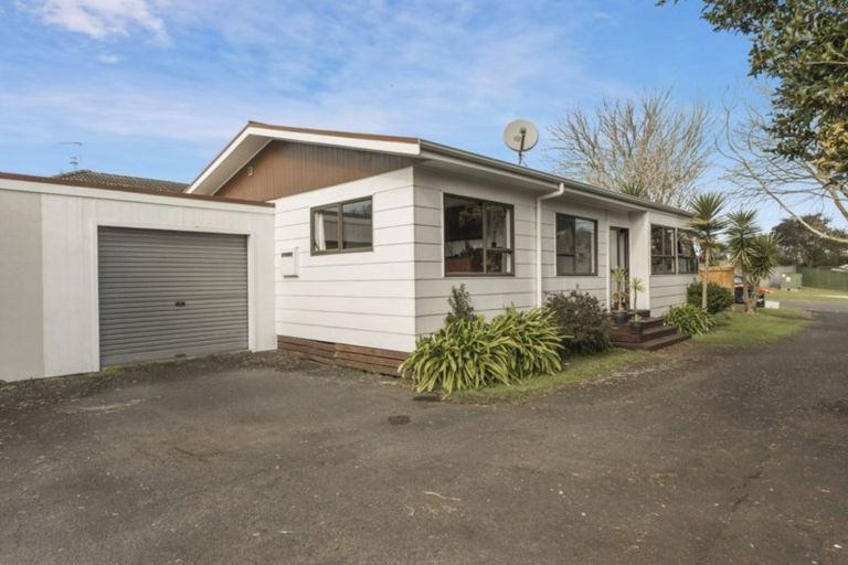 Photo of property in 20 Olwyn Terrace, Dinsdale, Hamilton, 3204