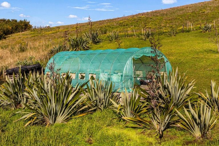 Photo of property in 37 Okahu Downs Drive, Kaitaia, 0481