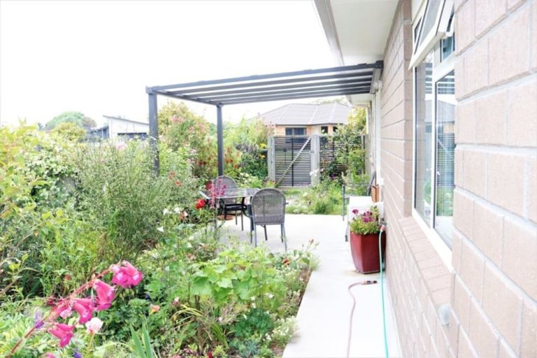 Photo of property in 23 Poynter Place, Gonville, Whanganui, 4501