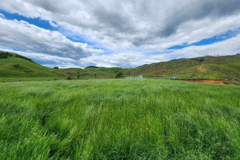 Photo of property in 201 Pond Road, Raglan, 3295