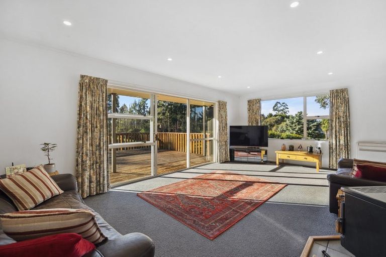 Photo of property in 60 Big Stone Road, Brighton, 9091