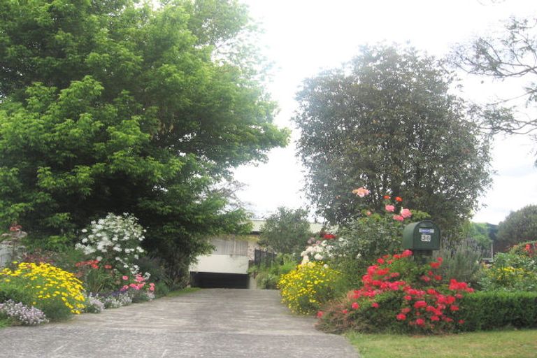 Photo of property in 36 Oxford Street, Te Puke, 3119