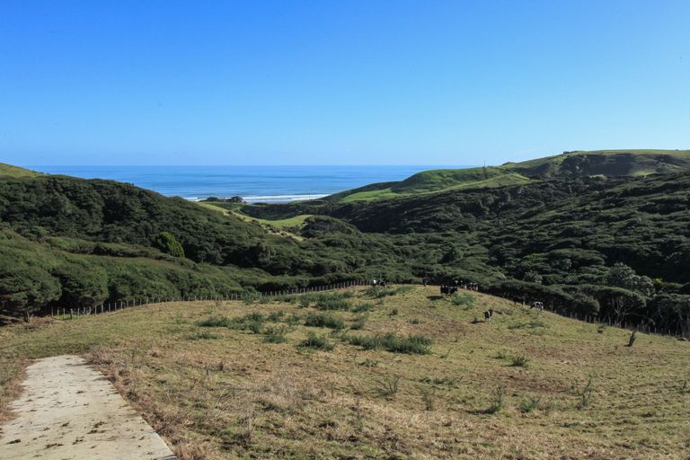 Photo of property in 1644a Whaanga Road, Raglan, 3296