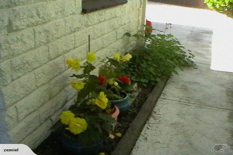 Photo of property in 56 Kawau Crescent, Bromley, Christchurch, 8062