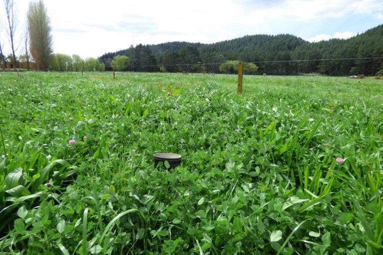 Photo of property in 410 Macdonald Road, Te Teko, Whakatane, 3192