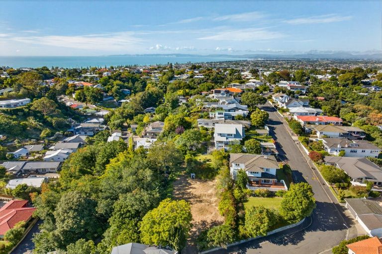 Photo of property in 19 Coleman Terrace, Hospital Hill, Napier, 4110