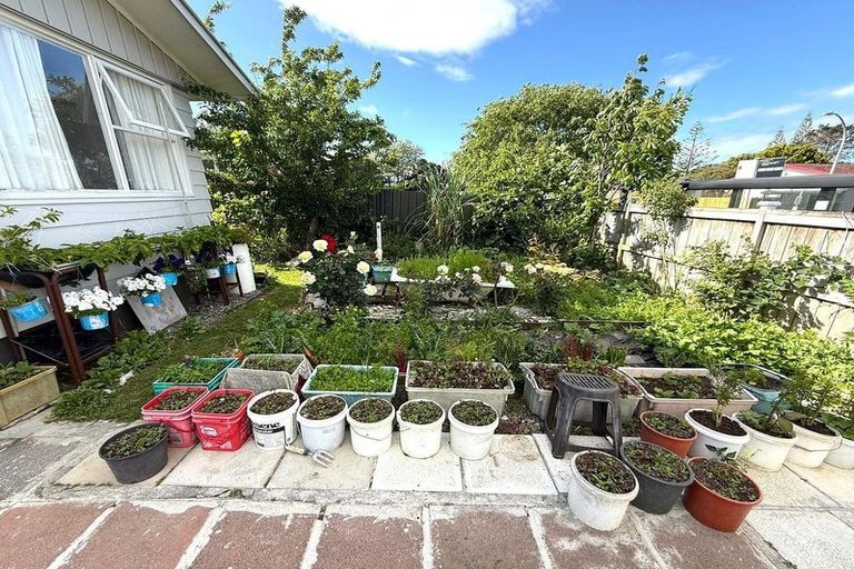 Photo of property in 11 Harania Avenue, Favona, Auckland, 2024