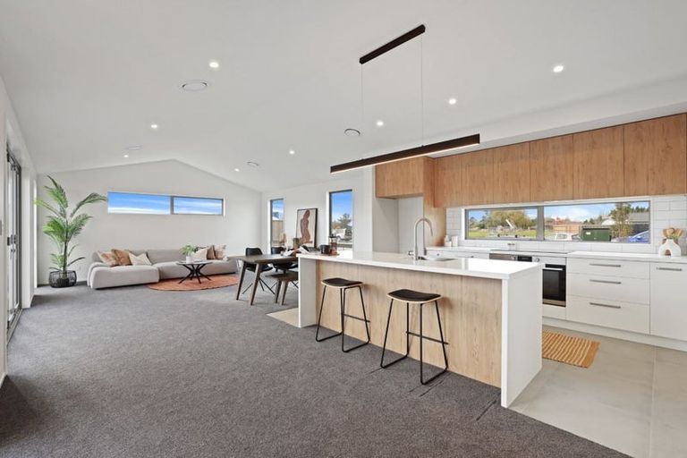 Photo of property in 57 Mills Road, Marshland, Christchurch, 8051