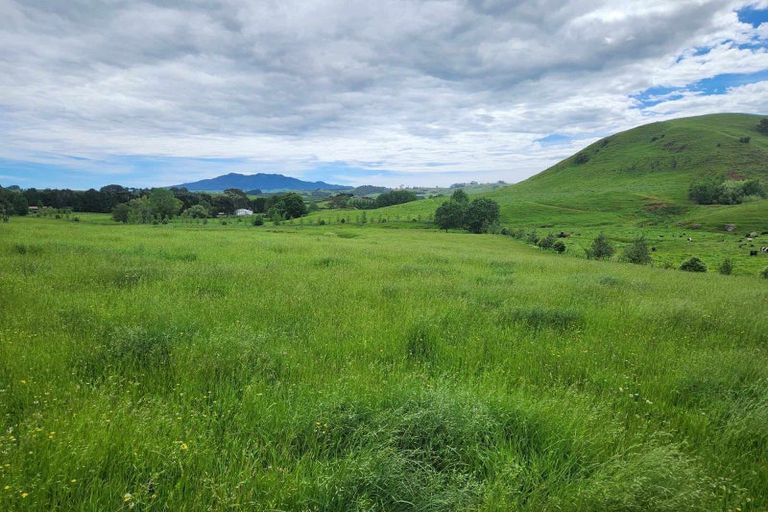 Photo of property in 201 Pond Road, Raglan, 3295