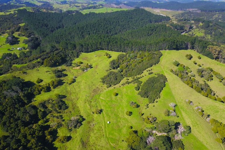 Photo of property in 110 Diggers Valley Road, Herekino, Kaitaia, 0481