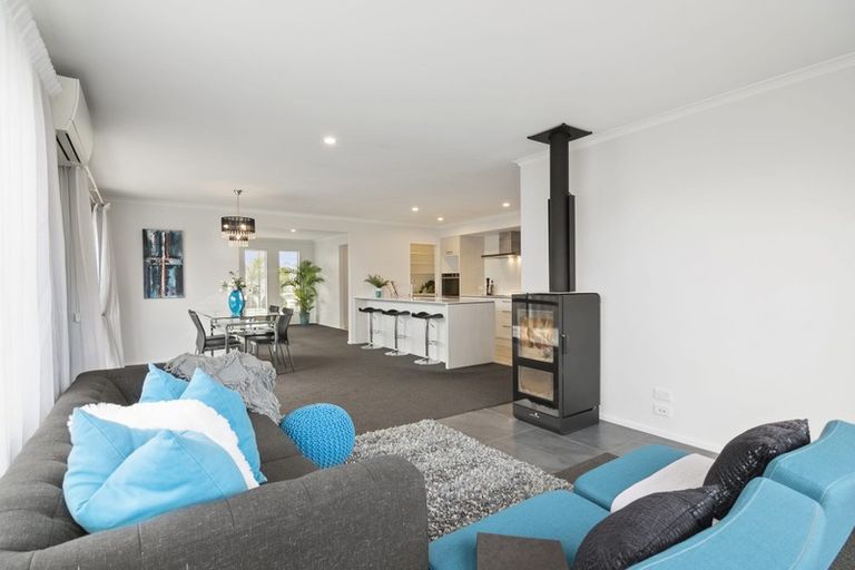 Photo of property in 16 Boysenberry Grove, Richmond, 7020