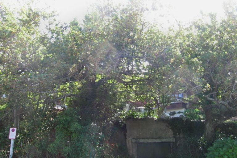 Photo of property in 10 The Esplanade, Castor Bay, Auckland, 0620