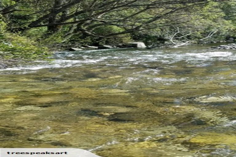 Photo of property in 242 Arapito Road, Karamea, 7893