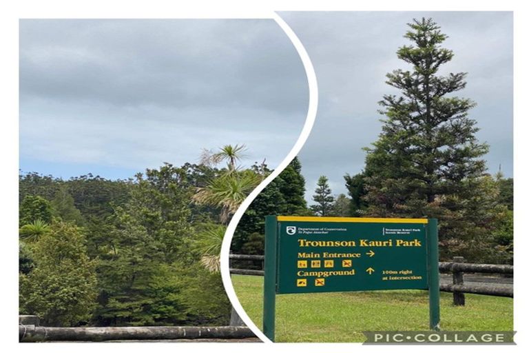 Photo of property in 382 Katui Road, Donnellys Crossing, 0379