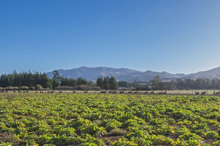 Photo of property in 84 Woodside Road, Matangi, Hamilton, 3284