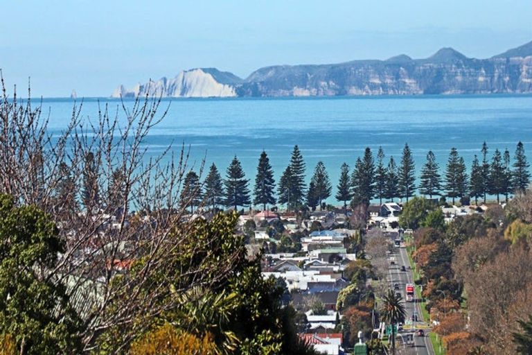 Photo of property in 17 Simla Terrace, Hospital Hill, Napier, 4110