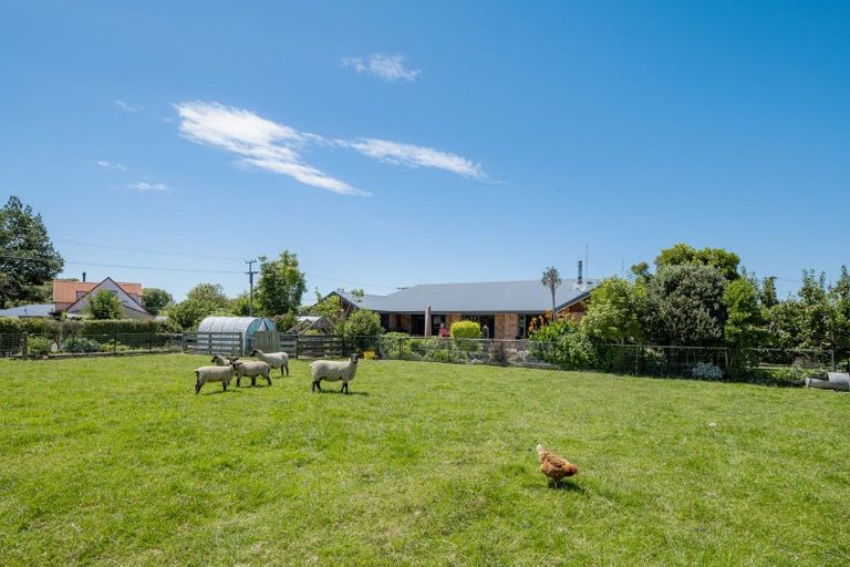 Photo of property in 14 Hathaway Street, Spring Creek, 7202