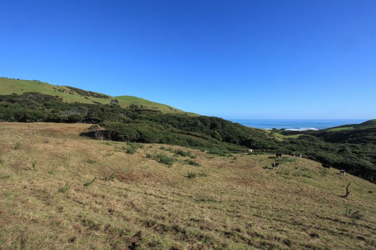 Photo of property in 1644a Whaanga Road, Raglan, 3296