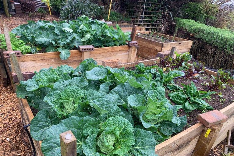 Photo of property in 1124 Awhitu Road, Pollok, Waiuku, 2683