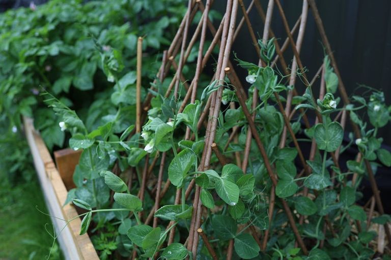 Photo of property in 17 Tuke Lane, Wanaka, 9305