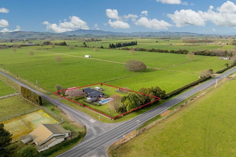 Photo of property in 8 Mclarnon Road, Cambridge, 3495