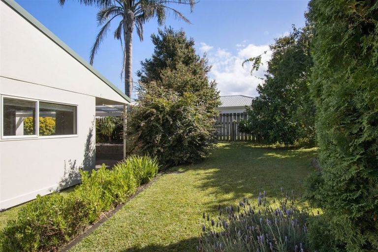 Photo of property in 19 Gilfillan Drive, Katikati, 3129