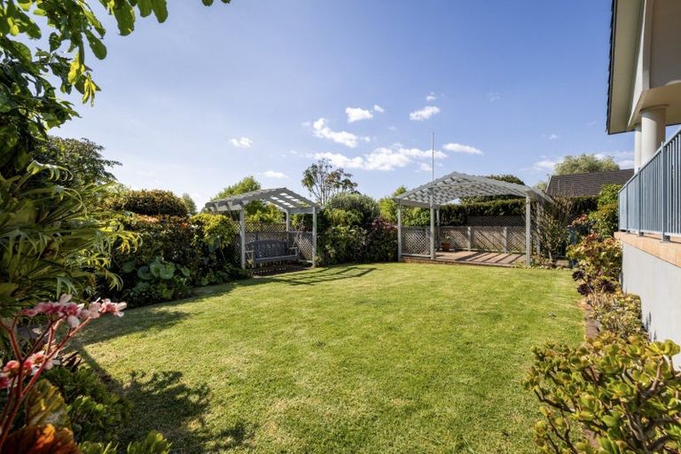 Photo of property in 19 Richmond Heights, Bethlehem, Tauranga, 3110