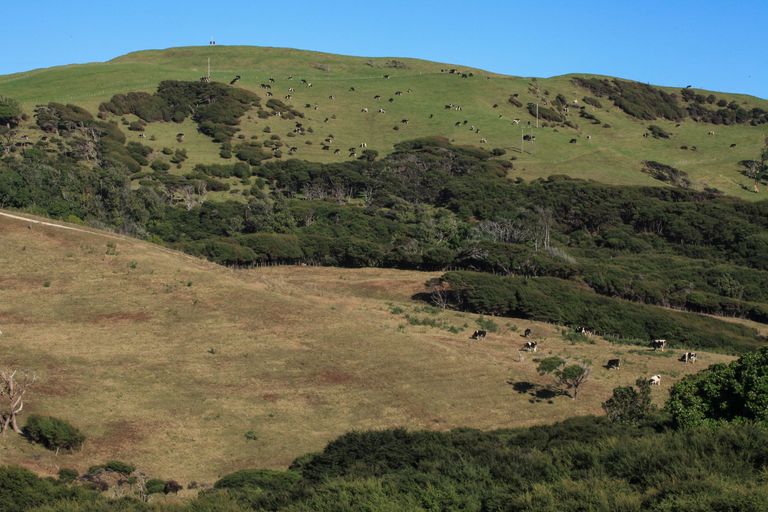 Photo of property in 1644a Whaanga Road, Raglan, 3296