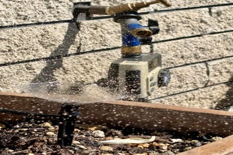 Photo of property in 902 Bank Street, Te Awamutu, 3800