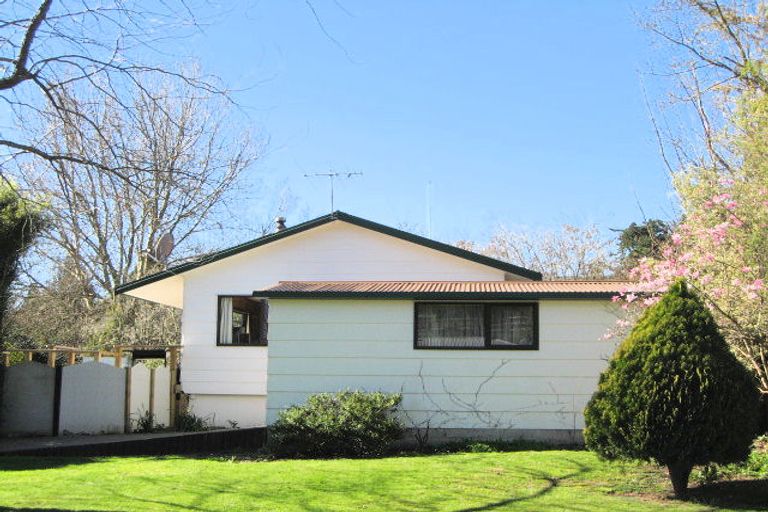 Photo of property in 19 Von Dadelszen Place, Havelock North, 4130