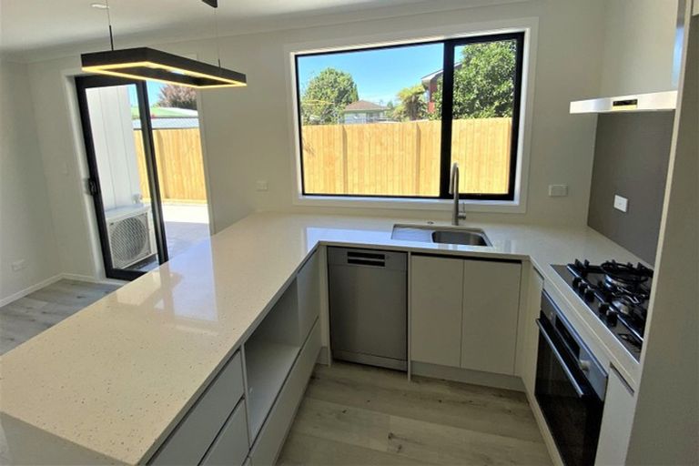 Photo of property in 43a Lake Crescent, Hamilton Lake, Hamilton, 3204