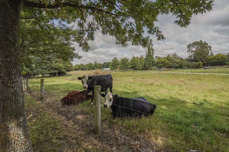 Photo of property in 68 Fawcetts Road, Ashley, Rangiora, 7477