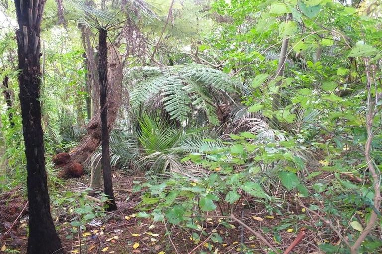 Photo of property in 48 Scott Road, Tamaterau, Whangarei, 0174